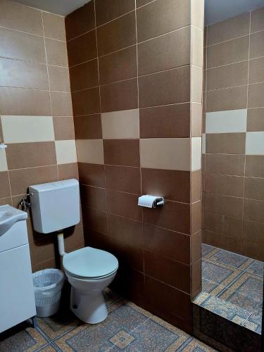 a bathroom with a toilet and a shower at Family Keyhouse in Schitul