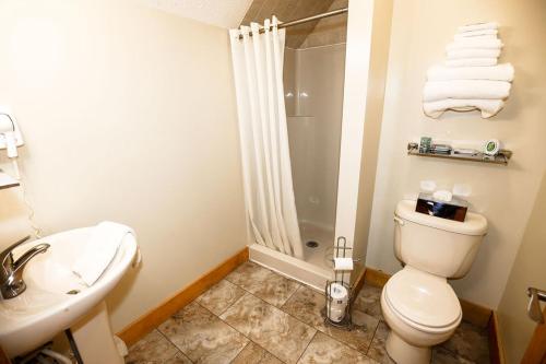a bathroom with a toilet and a sink and a shower at The Cabins at Pine Haven - Beckley in Beaver