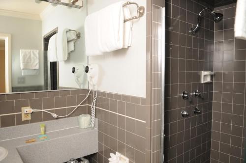 y baño con ducha y lavamanos. en Civic Center Motor Inn, en San Francisco