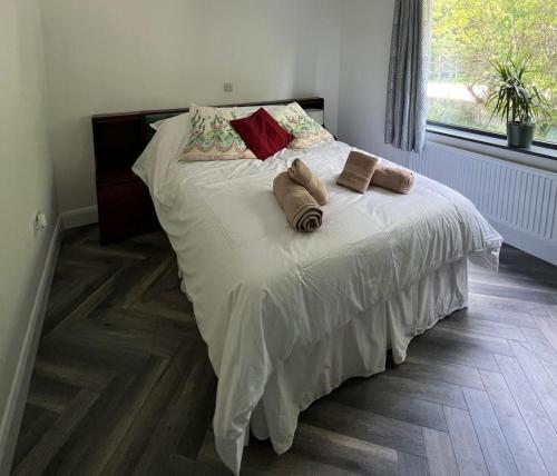 a bed with two pillows on it in a bedroom at Finner-House in Bundoran