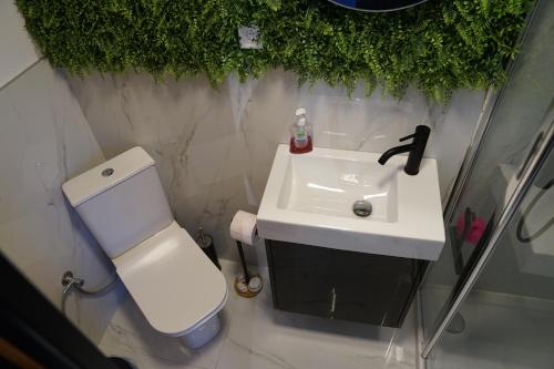 a bathroom with a white toilet and a sink at Sougia Glamping in Chania Town