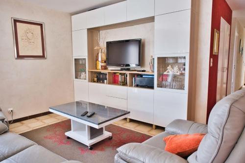 sala de estar con TV y mesa de centro en Nice spacious house with garden and swimming pool, en Bompas