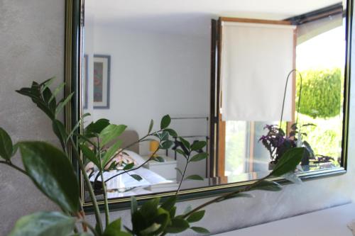 un espejo sentado en la parte superior de un sofá con una planta en Villa Lotus en Štrigova