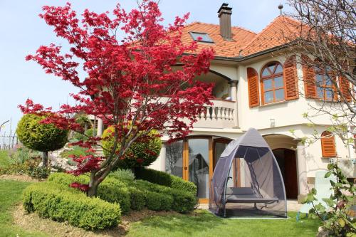 Vor einem Haus befindet sich ein Zelt. in der Unterkunft Villa Lotus in Štrigova