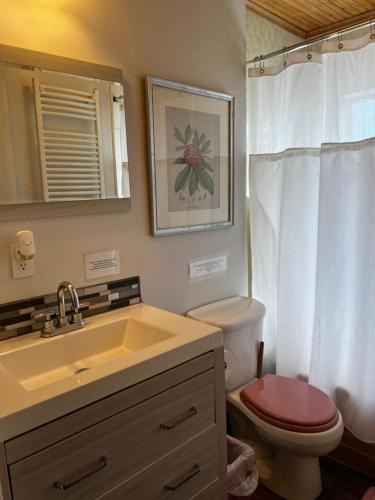a bathroom with a sink and a toilet and a mirror at Great Gorge Guesthouse - Walk to the Falls, the Casino and all Downtown Restaurants - Across from the Aquarium in Niagara Falls