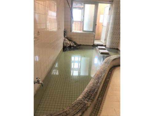 a large pool of green water in a bathroom at Hotel Tetora Yunokawaonsen - Vacation STAY 30586v in Hakodate
