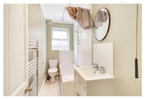 a bathroom with a toilet and a sink and a mirror at Central 2 bedroom garden flat with free parking in Royal Tunbridge Wells