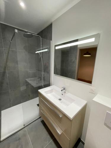Un baño blanco con lavabo y ducha. en Studio avec WC et SDB privés dans Grande maison à côté du campus Artem - Thermal et Parc des Expos, en Vandoeuvre-lès-Nancy