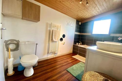 une salle de bain avec toilettes et lavabo dans l'établissement Maison 180m2, jardin clos, 2 terrasses, 5 mn Dinan, à Vildé-Guingalan