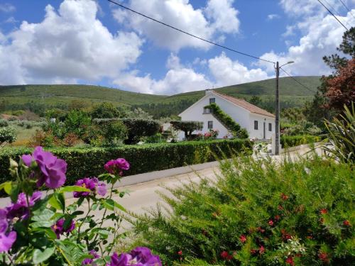 a view from the garden of a house with flowers at Casa Dos Vales 11 in Porto de Mós