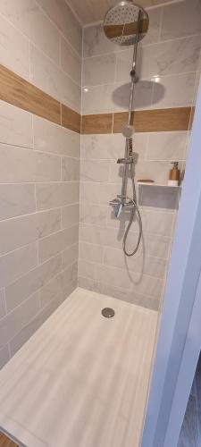 a bathroom with a shower with a shower head at Gite Mérignac proche Aéroport in Mérignac