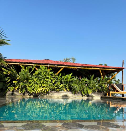 a view of the pool at the resort at La Veranda Hotel & Restaurant in Minca