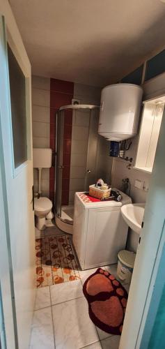 a bathroom with a shower and a toilet and a sink at Apartman Centar in Bijeljina