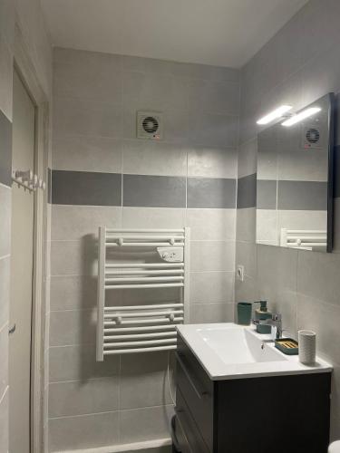 une salle de bain avec un lavabo et un miroir dans l'établissement Appartement coeur de ville Angers, à Angers