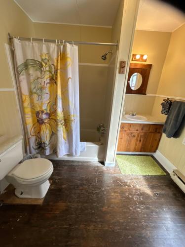 a bathroom with a toilet and a shower curtain at Alert Bay Sweet Home in Alert Bay