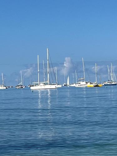 a group of boats sitting in the water at Alpinia in Sainte-Anne