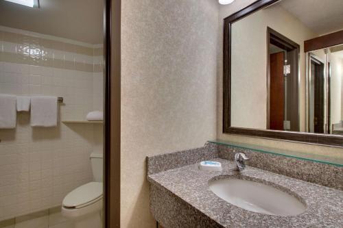 a bathroom with a sink and a toilet and a mirror at Drury Inn & Suites Cape Girardeau in Cape Girardeau