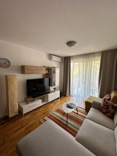 a living room with a couch and a tv at Blue Horizon Apartment Lena in Pržno