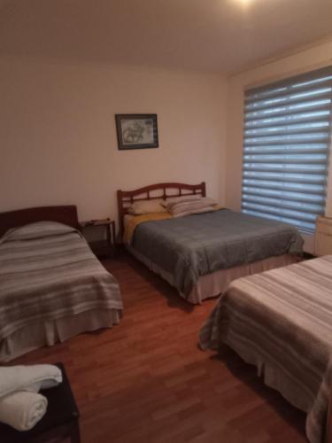 sypialnia z 2 łóżkami i oknem w obiekcie San Sebastián w mieście Concepción