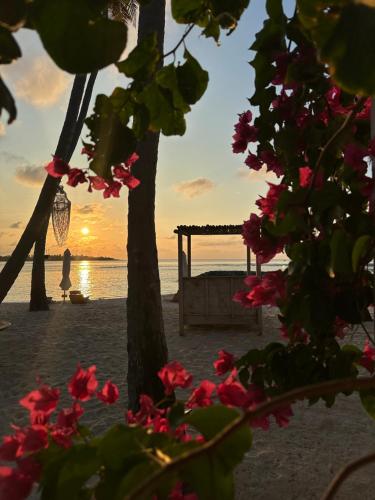 a sunset on the beach with flowers in the foreground at Samura Maldives Guest House Thulusdhoo in Thulusdhoo