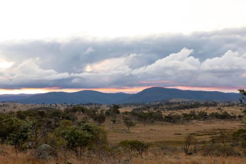 Φωτογραφία από το άλμπουμ του DO NOT USE - Tiny Elsie σε Belbora