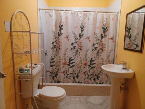 a bathroom with a shower curtain and a toilet and sink at Guest Suite in Old Harbour in Old Harbour