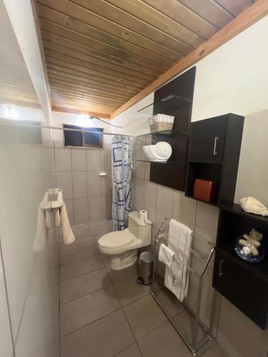 La petite salle de bains est pourvue de toilettes et de serviettes. dans l'établissement Nina y Jack house, à Piedades