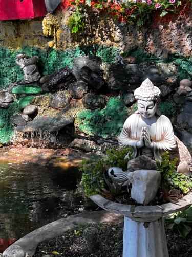 a statue sitting in a bird bath in a garden at Casa in Tristán Suárez