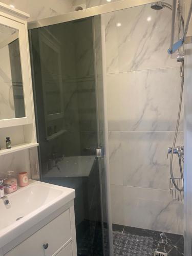 a bathroom with a glass shower and a sink at Mirela's Private Room with key, AC, lift & balcony in the center of Nice on the Cote d'Azur in Nice