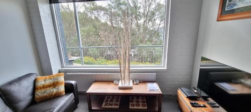 Χώρος καθιστικού στο Cedarwood Apartments