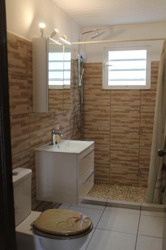 a bathroom with a toilet and a sink and a shower at Roadrunner-Bonaire in Kralendijk