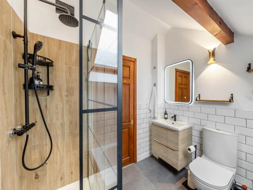 a bathroom with a shower and a toilet and a sink at Dee Bank Cottage in Llangollen