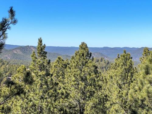 a group of trees with mountains in the background at Holliday House in Rapid City