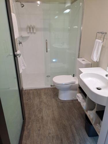 a bathroom with a shower and a toilet and a sink at Ava Lodge in Lower Hutt