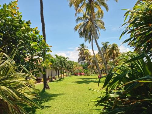 a lawn with palm trees and a house in the background at Ceylonica Beach Hotel in Negombo