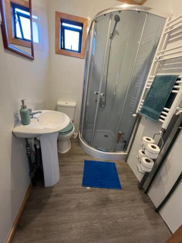 a bathroom with a shower and a toilet and a sink at Cabañas Little Home in Puerto Natales