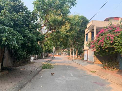 una strada vuota con un gatto che cammina per la strada di Home Hưng Trang a Dien Bien Phu