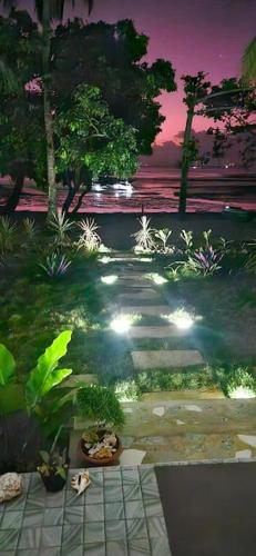a view of a garden with plants and lights at Tiny beach house, Private vacation home in San Francisco