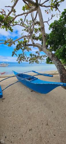 a blue boat sitting on a beach next to a tree at Tiny beach house, Private vacation home in San Francisco