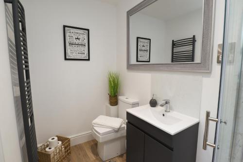 uma casa de banho com um lavatório, um WC e um espelho. em Family Apartment, Close to Town and Beach em Eastbourne