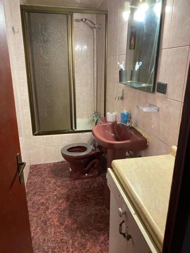 ロス・アンデスにあるHasta 4 per. dormitorio principal y otro con 2 camasのバスルーム(洗面台、トイレ、シャワー付)