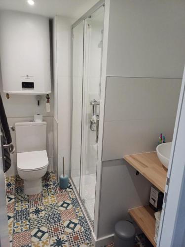 une salle de bain avec une douche, des toilettes et un lavabo dans l'établissement Coté Golfe - Golfe du Morbihan, à Sarzeau