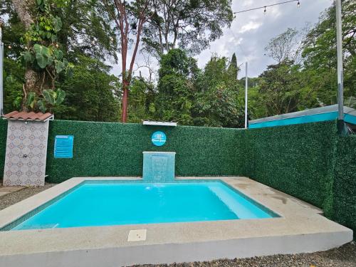 una piscina frente a una valla verde en Ocean's Breeze Apartment and Rooms, en Puerto Viejo