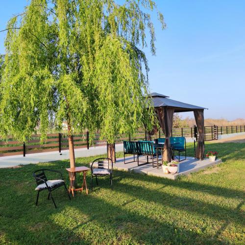 Κήπος έξω από το Willow Home