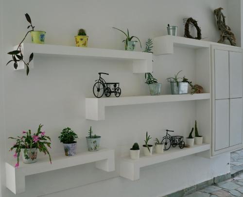 a room with white shelves with potted plants at Sunset Hotel in Petra