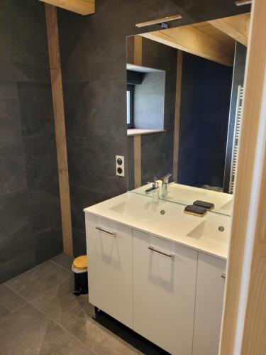 une salle de bain avec un lavabo blanc et un miroir dans l'établissement Gîte Chez Les Perrin, à Tendon