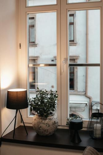 a room with a window with a plant and a lamp at Penzion U Kubesa - Adults only in Kroměříž