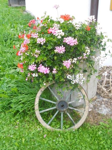 a cart filled with pink and white flowers at Obergarberhof in Sillian