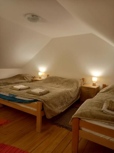 een slaapkamer met 2 bedden en 2 lampen op 2 tafels bij Dunavska Avlija in Mala Vrbica