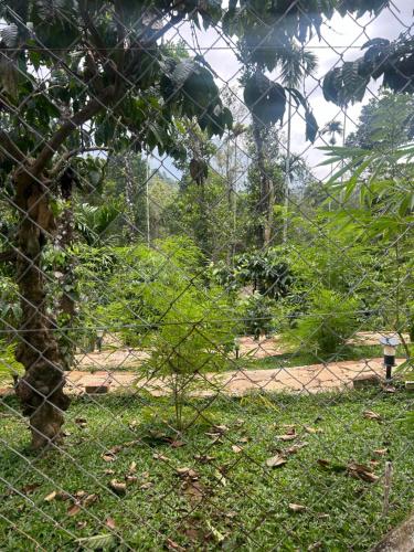 a fence with a tree in the middle of a field at SylVan Resort in Wayanad